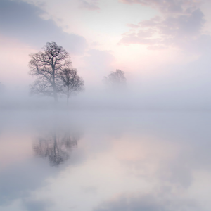 日本義父强奸熟女
