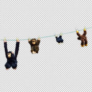 日本免费三片在线观看
