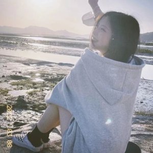 在哪里可以看毛片
