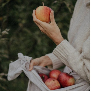 同性恋搞鸡视频
