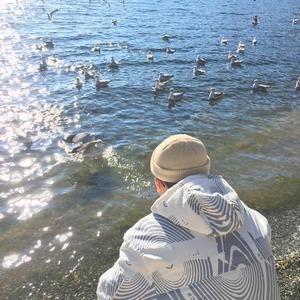 成年人免费网站视频
