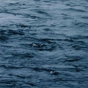 久久一本热色99国产
