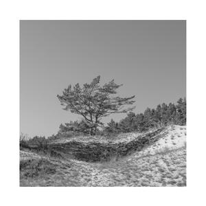 杏美月爆乳一区二区三区
