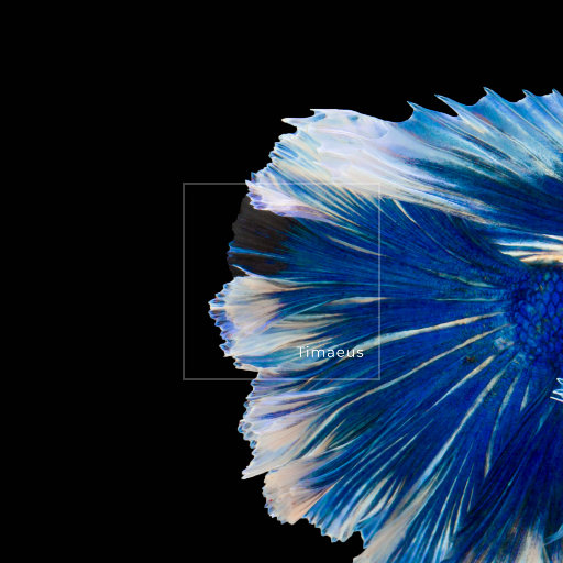 把校花🌸吊起来揉搓双乳兔女郎
