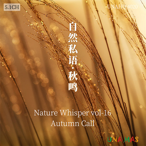 亚洲AV㊙️无码一区羽田あい
