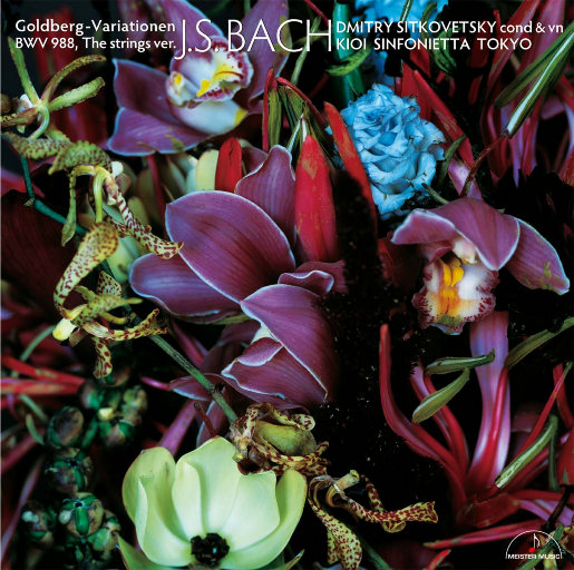 特级太黄A片两男一女
